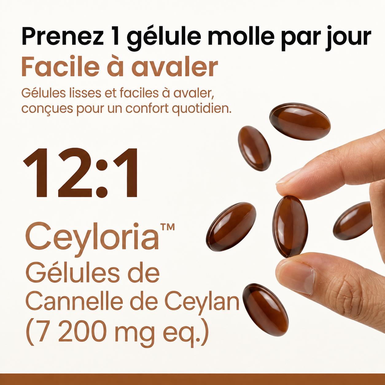 Complément cannelle de Ceylan métabolisme - vue 3